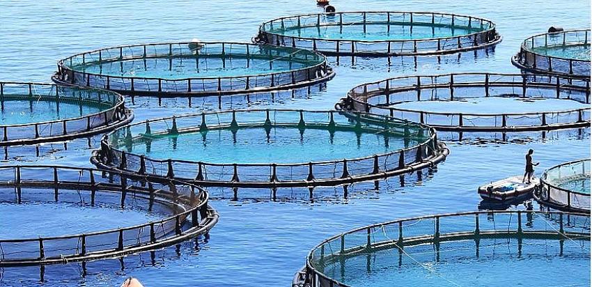 Alabalık Yetiştirme Kursu Açılacak