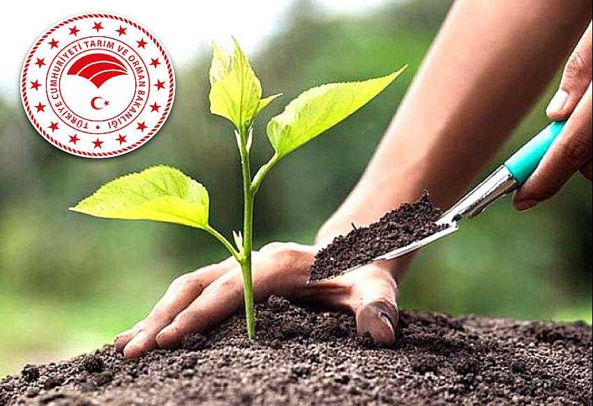 BİNGÖL'DE 137 BİN FİDAN SAHİPLENDİ