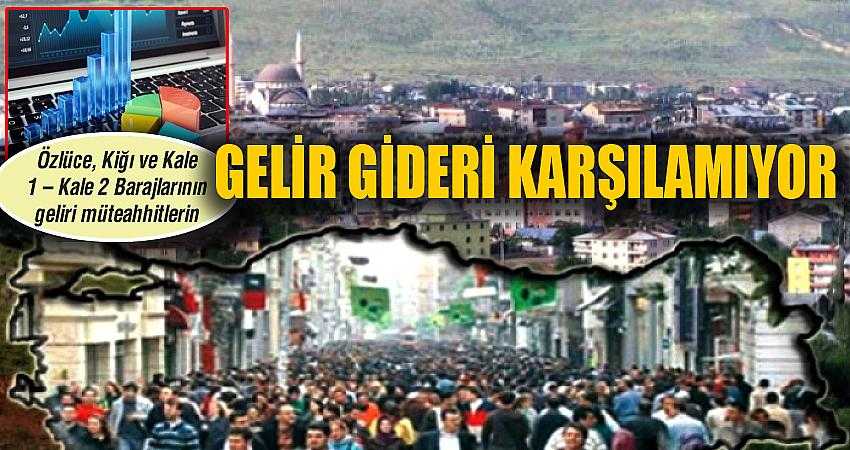 Bingöl’ün gelir giderini karşılamıyor