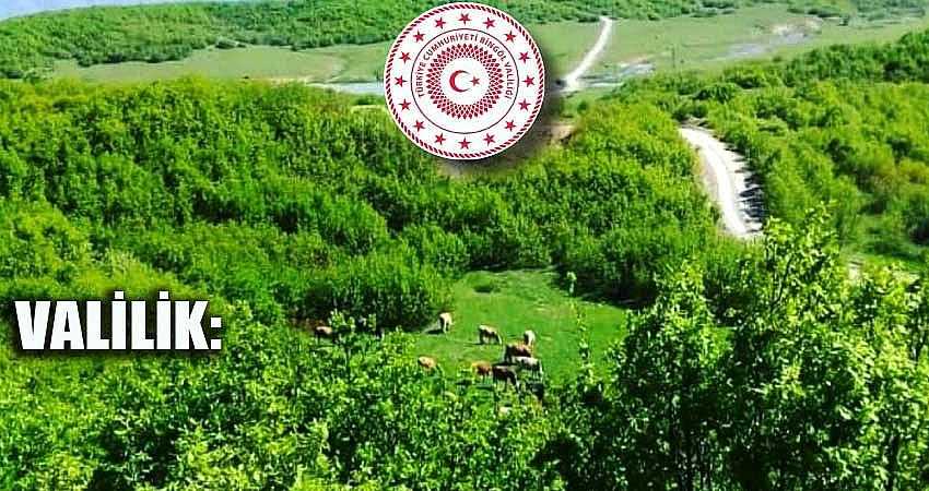 GENÇLEŞTİRME İÇİN KESİMLER YAPILIYOR