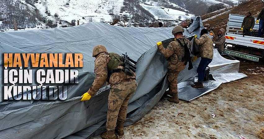 HAYVANLAR İÇİN ÇADIR KURULDU