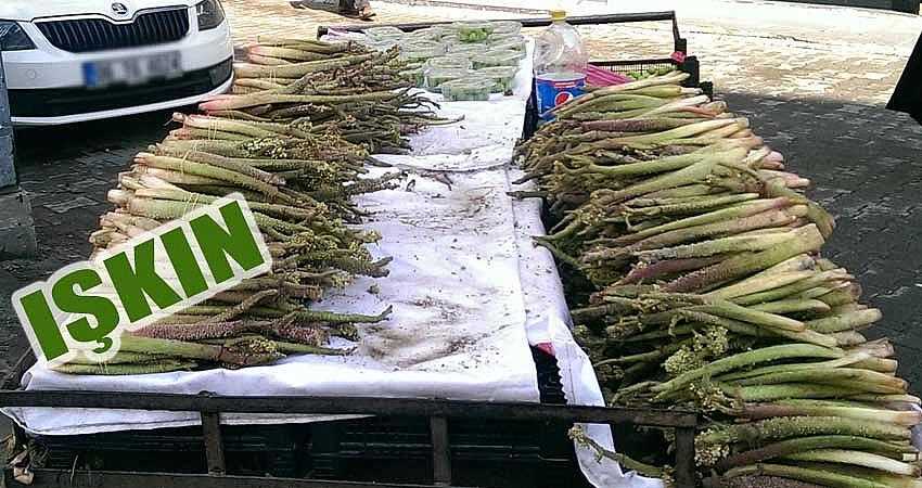 TEZGAHLARDA YERİNİ ALDI