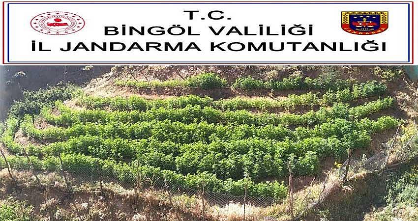 JANDARMADAN UYUŞTURUCU OPERASYONU