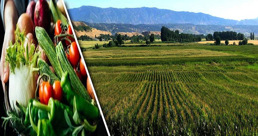 BİNGÖL’ÜN ÜRETİM KAPASİTESİ