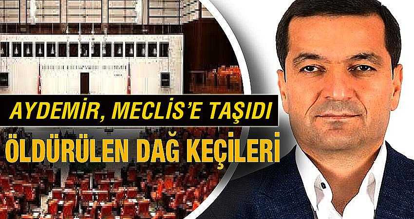 Öldürülen dağ keçilerini Meclis'e taşıdı