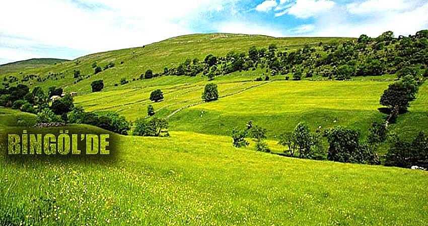 KİRAYA VERİLECEK MERALAR BELİRLENDİ