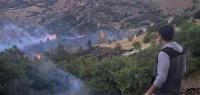 Kığı ve Yayladere’de Orman Yangını
