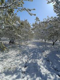 Çiftçinin Zararı Karşılanacak