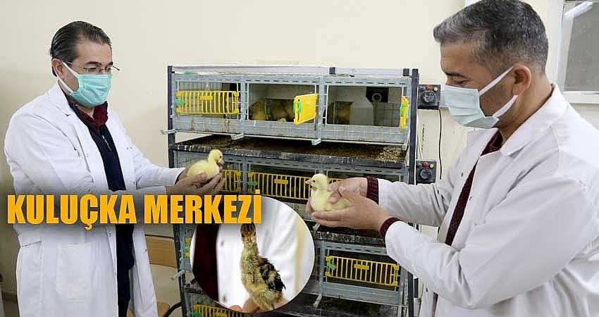 HİZMET VERMEYE BAŞLADI