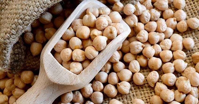 FASULYE VE NOHUT ÜRETİMİNE YÜZDE 75 HİBE DESTEĞİ