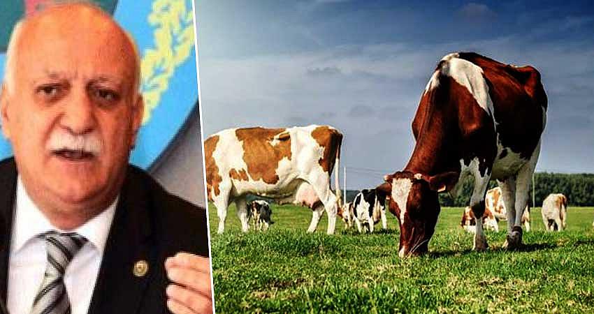 “ET VE SÜT HAYVANCILIĞI ZOR DURUMDA”
