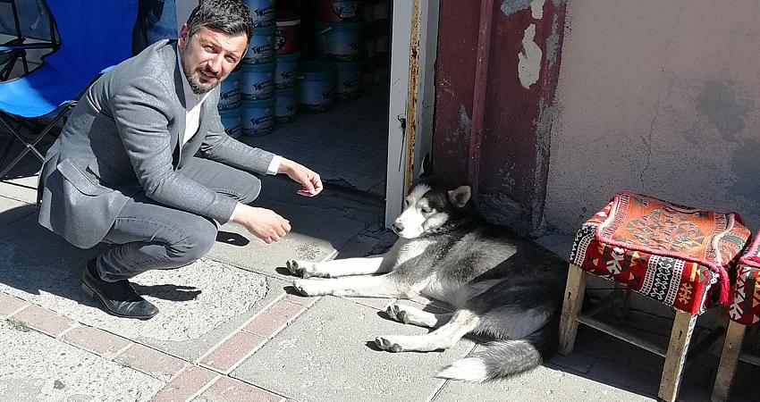 HAYVANLARI KORUMAK İNSANLIK GÖREVİDİR