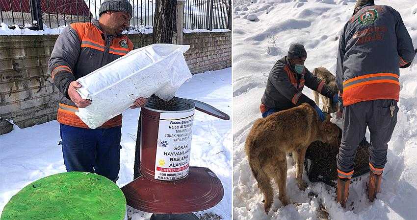 DOĞAYA YİYECEK BIRAKILDI